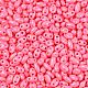 Выпечка краска стеклянные бусины SEED-T006-03P-2