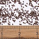 Бусины Миюки Делика SEED-MY11-DB0612-4