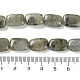 Природные лабрадорита бисер нитей G-K357-D16-01-5