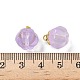 Стеклянные подвески GLAA-P072-04G-05-3