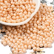 Выпечка расписных стеклянных бусин SEED-C004-04J