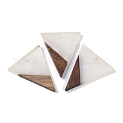 Подвески из смолы и дерева WOOD-F015-06G