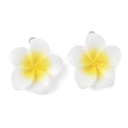 Подвески из непрозрачной смолы FIND-K024-01-1