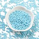 Выпечка краска стеклянные бусины SEED-A033-05P-2