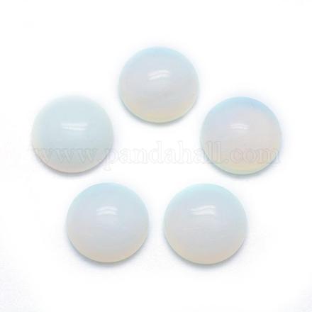 Opalite кабошоны G-P393-R10-12MM-1