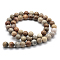 Natural Fossil Coral Beads Strands, Round, 12mm, Hole: 1mm