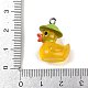 Подвески из непрозрачной смолы FIND-I052-06P-4