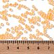 Бисер из стекла  X-SEED-S042-13A-05-4