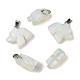 Opalite подвески G-B127-02P-08-2
