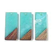 Подвески из смолы и дерева WOOD-F015-09F