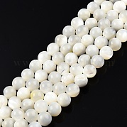 Нити из натуральных белых ракушек SSHEL-N003-144E-01