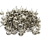 Iron Round Head Nails, Sofa Foam Nails, for Furniture Decoration, Platinum, 16x11mm