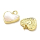 Латунные подвески из ракушек KK-K365-08B-G-2