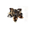3D Acrylic Pendants, Leopard Print, Flower, 45.5x51x19mm, Hole: 1.8mm