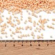 Выпечка краска стеклянные бусины SEED-S042-05B-80-4