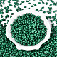 Выпечка краска стеклянные бусины SEED-T007-15O-1