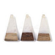 Подвески из смолы и дерева WOOD-F015-03H