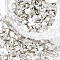 FGB Plated Glass Seed Beads, For Nail Art Decoration Accessories, No Hole/Undrilled, Chips, WhiteSmoke, 2.0~5.0mm, about 450g/bag
