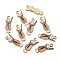 Alloy Pendants, with Enamel, Light Gold, Ice-cream, Peru, 23x9x1mm, Hole: 1.6mm