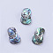 Abalone Shell/Paua Shell Pendants, with Platinum Tone Brass Bail, Slipper, 22x12.5x8mm