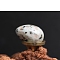 Natural Sesame Jasper Egg Figurines Statues for Home Office Desktop Decoration, 30x20mm