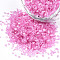 Baking Painted Glass Beads, For Nail Art Decoration Accessories, No Hole/Undrilled, Chips, Orchid, 0.5~5x0.5~5x0.5~5mm, about 450g/bag