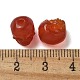 Натуральные бусины из сердолика (окрашенные и нагретые) G-K387-02E-3