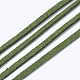 Шнуры из искусственной замши LW-R023-2.8mm-07-1