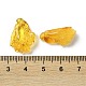 Подвески с овощами из натурального балтийского янтаря G-NH0001-07-3