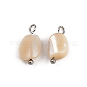 Натуральные трохус ракушки самородки амулеты STAS-D378-36P
