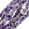 Natural Amethyst Beads Strands, Chip, 5~8mm, Hole: 1mm, about 80~81cm