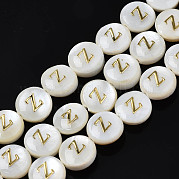 Бусины из натуральных пресноводных ракушек SHEL-S276-168Z