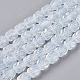 Opalite бисер пряди GLAA-F002-G04-1