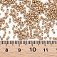 Стеклянные цилиндрические бусины SEED-S047-A-038-5