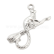 Подвески из нержавеющей стали 304 STAS-I202-16P