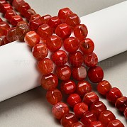 Окрашенные естественный агат бисер пряди G-G203-03