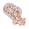 Spiral Shell Pendants, Chocolate, 28~38x18~24x16~21mm, Hole: 1mm