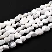 Природные Говлит бисер нитей G-G018-49