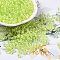 Glass Seed Beads, Inside Colours Lustered, Round, Light Green, 4x3mm, Hole: 1.4mm, about 7650pcs/pound