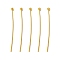 Brass Ball Head Pins, for DIY Beading Charm Making, Cadmium Free & Lead Free, Golden, 30x0.5mm, 24 Gauge, Head: 2mm