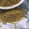 MIYUKI Delica Beads, Cylinder, Japanese Seed Beads, 11/0, (DB0771) Dyed Semi-Frosted Transparent Saffron, 1.3x1.6mm, Hole: 0.8mm, about 2000pcs/10g