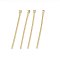 304 Stainless Steel Flat Head Pins, Real 18K Gold Plated, 20.5x0.6mm, Head: 1.5mm