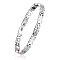 304 Stainless Steel Panther Chain Watch Band Bracelets, with Watch Band Clasps, Stainless Steel Color, 8-1/4 inch(21cm)