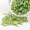 Tube Transparent Colours Pearl Luster Plated Round Hole Glass Bugle Beads, Yellow Green, 2~5x1.8~2mm, Hole: 0.8mm, about 12000pcs/450g