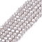 Electroplate Glass Beads Strands, Pearl Luster Plated, Faceted, Rondelle, Light Grey, 2.9~3.3x2mm, Hole: 0.8mm, about 144~150pcs/strand, 35~37cm